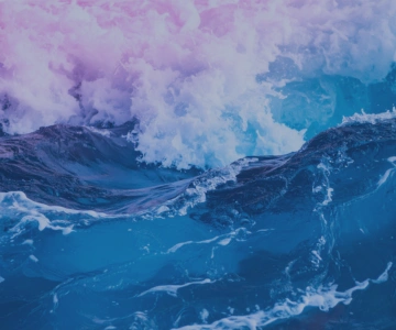 EvolvePhase-MobileBanner-ezgif