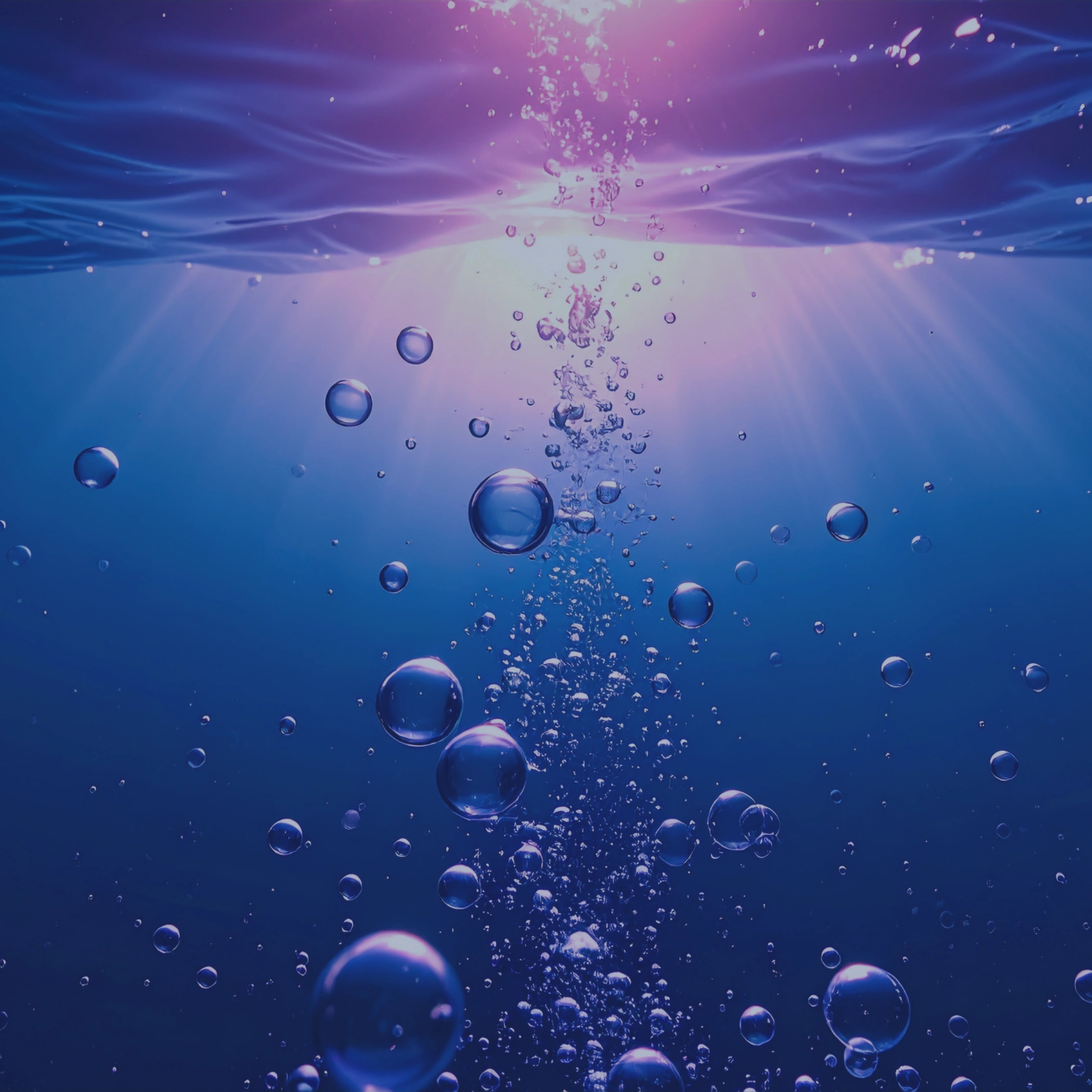 EvolvePhase-DesktopVersionBanner-ezgif