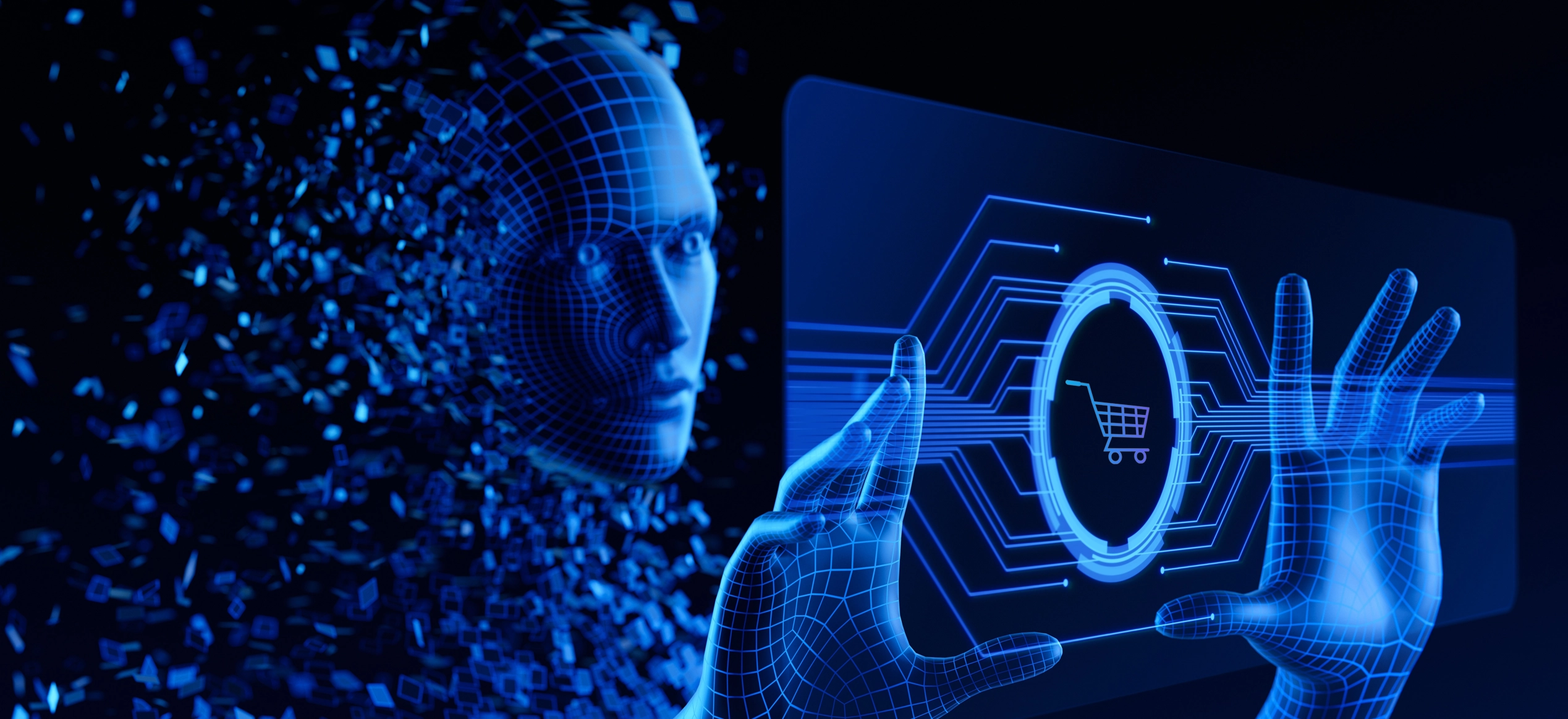 Agentic Commerce Solutions 