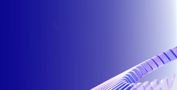 NRF 2025: Retail's Big Show - Visionet