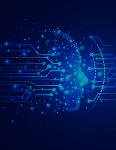 Digital Services and Solutions - Visionet