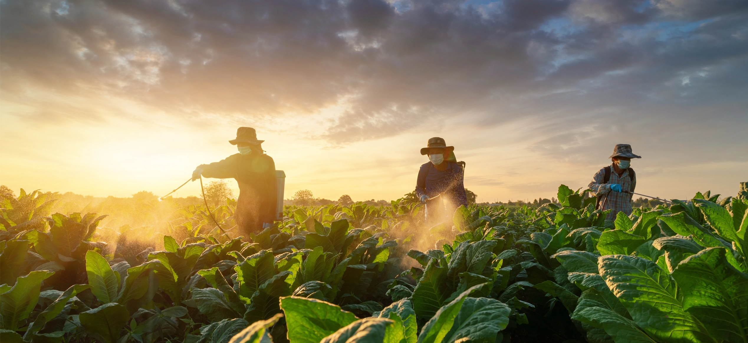 How a global tobacco enterprise achieved 50% efficiency gains with Microsoft Fabric and AI-driven analytics 